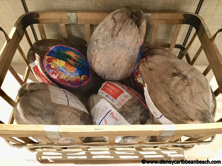 Coconuts 
